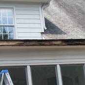 #23 Gutters (damage to fascia due to clogged gutters)
